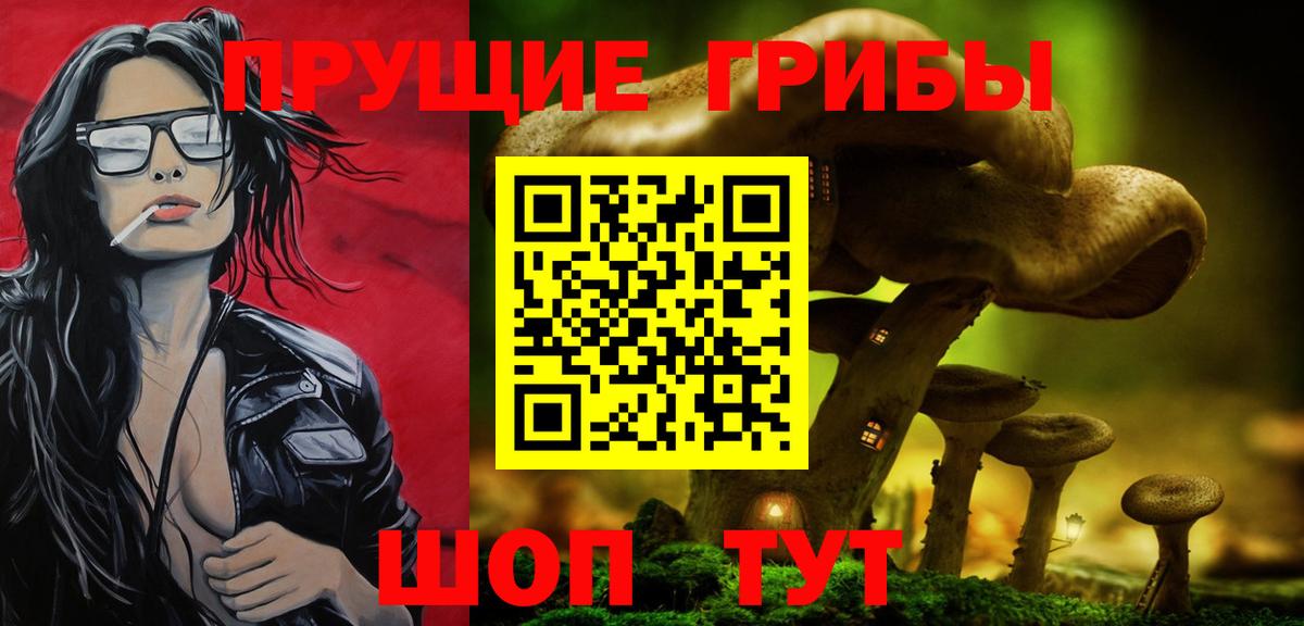 Псилоцибиновые грибы мухоморы Осинники